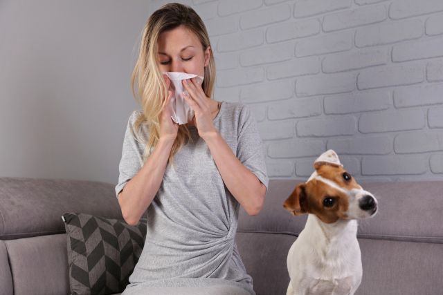 Alergia na zwierzęta – jak się objawia?