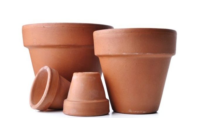 Donice ceramiczne do domu i ogrodu – zalety i wady donic ceramicznych, jak wybierać donice ceramiczne