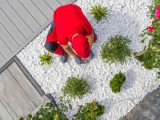 Jak uprawiać niskorosnące trawy ozdobne w ogrodzie – idealne miejsca i zastosowania