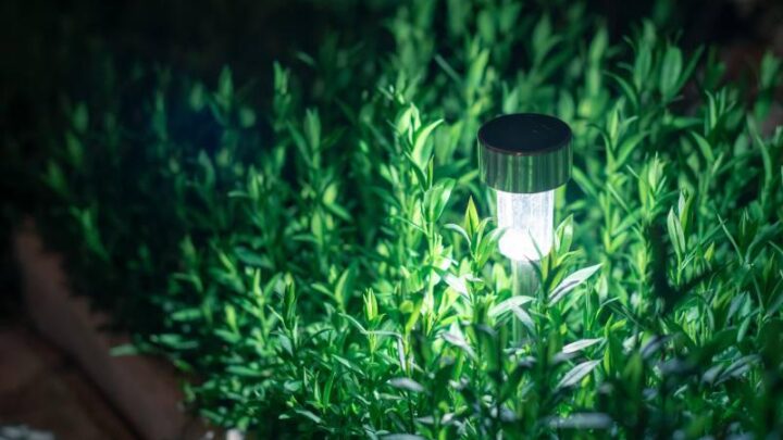Poradnik zakupowy – wybieramy oświetlenie solarne do ogrodu balkonu i na taras